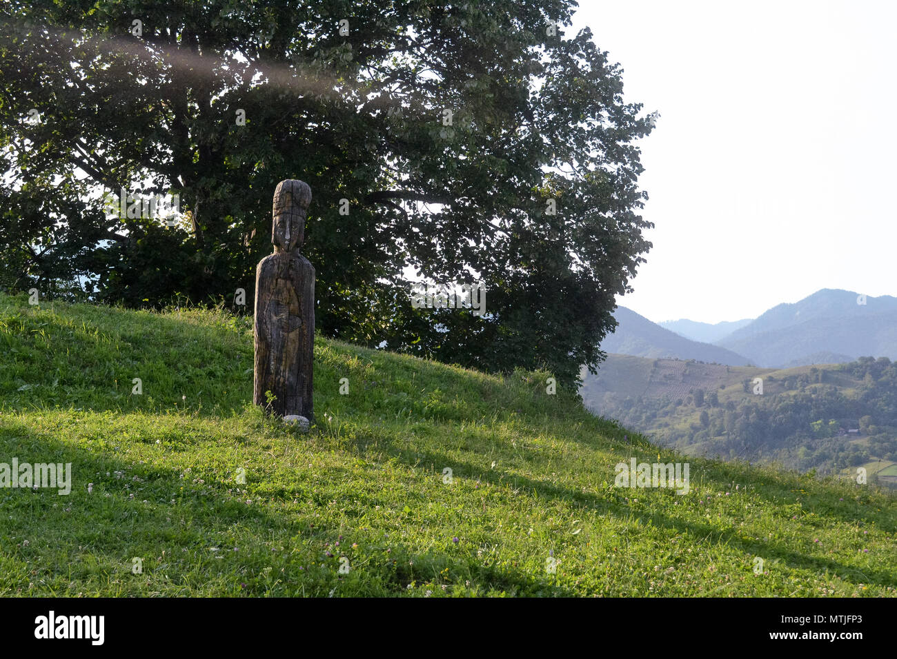 Art in the wild Stock Photo - Alamy