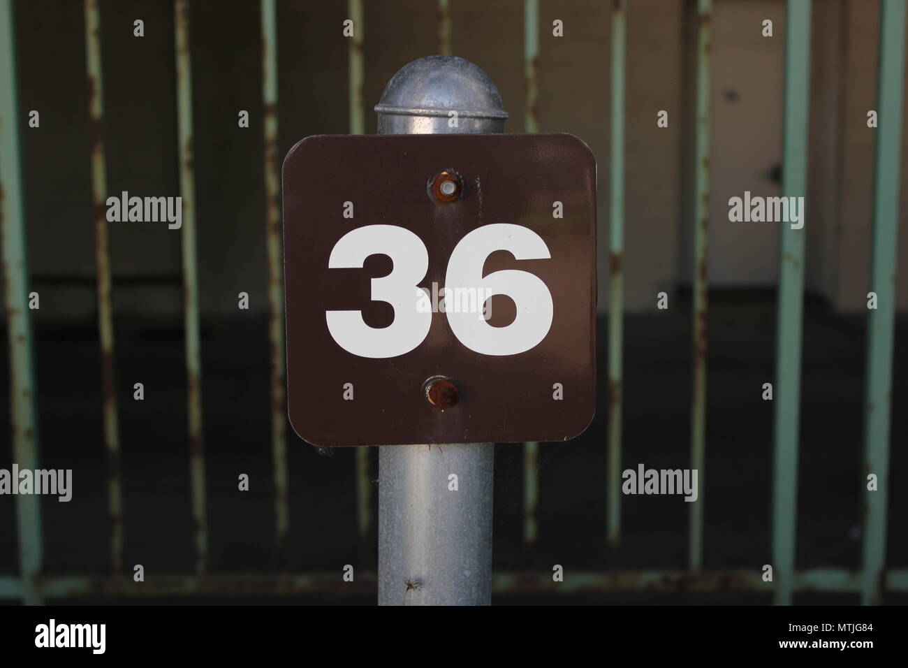 The number 36, thirty-six, designating a fixed parking spot in a University of Illinois at Chicago parking lot. Stock Photo