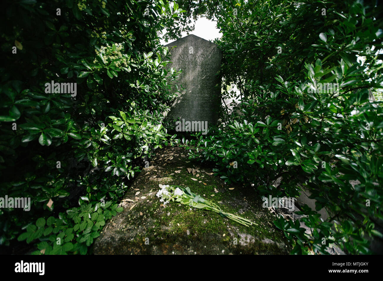 Photographer Gaspard Felix Tournachon, or Nadar, grave stone in Pere Lechaise Cemetery, Paris, France Stock Photo