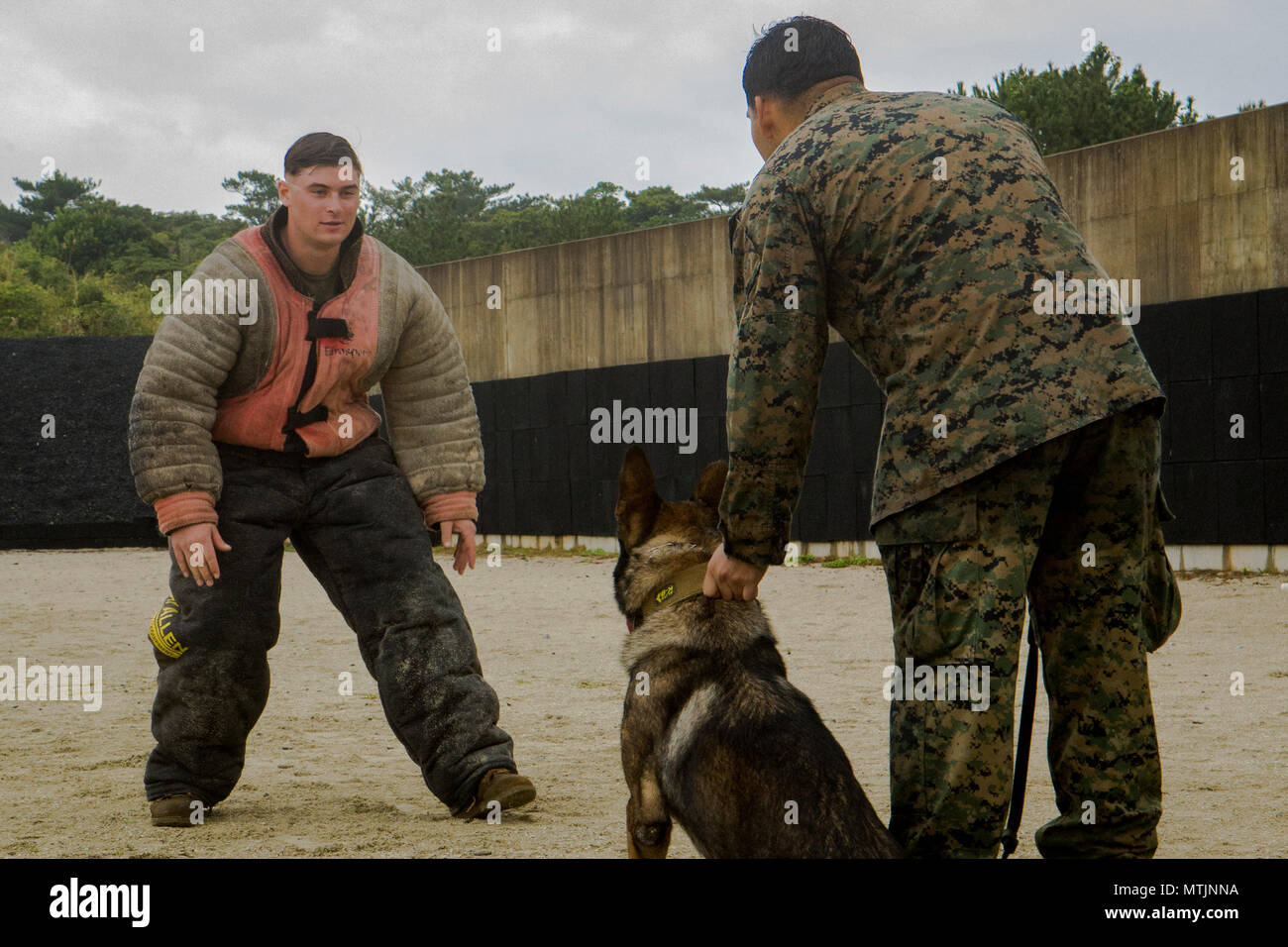 Lance Cpl. Sergio Becerra, a canine handler with Command Element, 31st