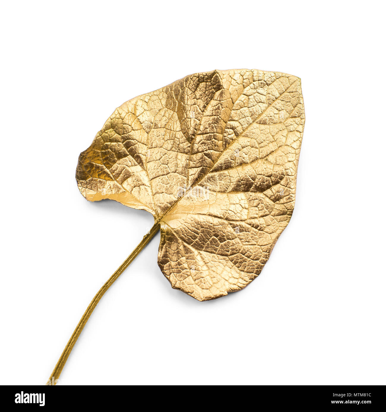 Gold leaf on white background Stock Photo