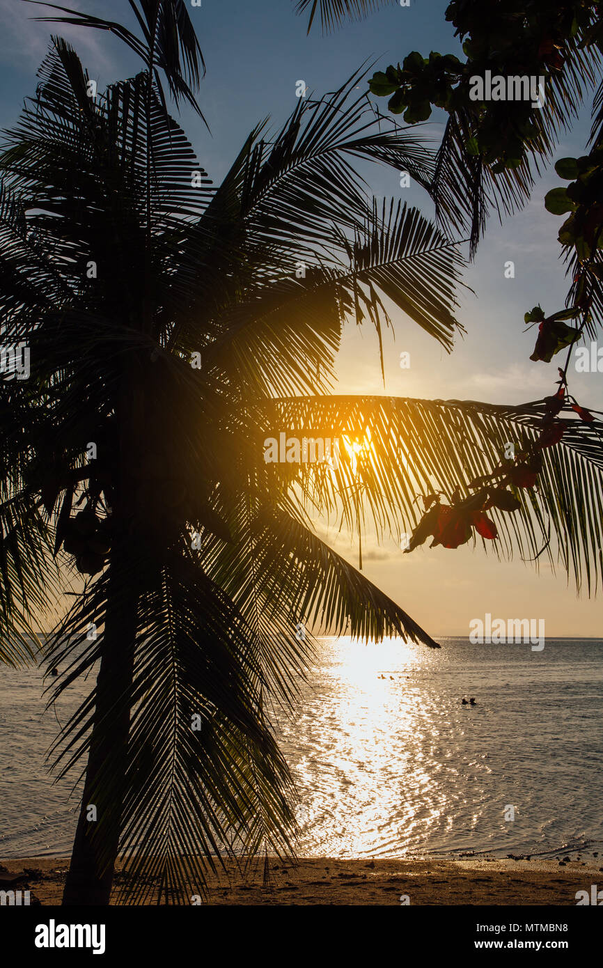 Beautiful sunset on the sea with silhouette of palm trees on the beach ...