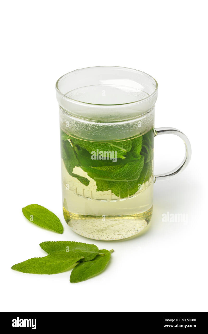 Glass of fresh healthy sage tea decorated with leaves isolated on white