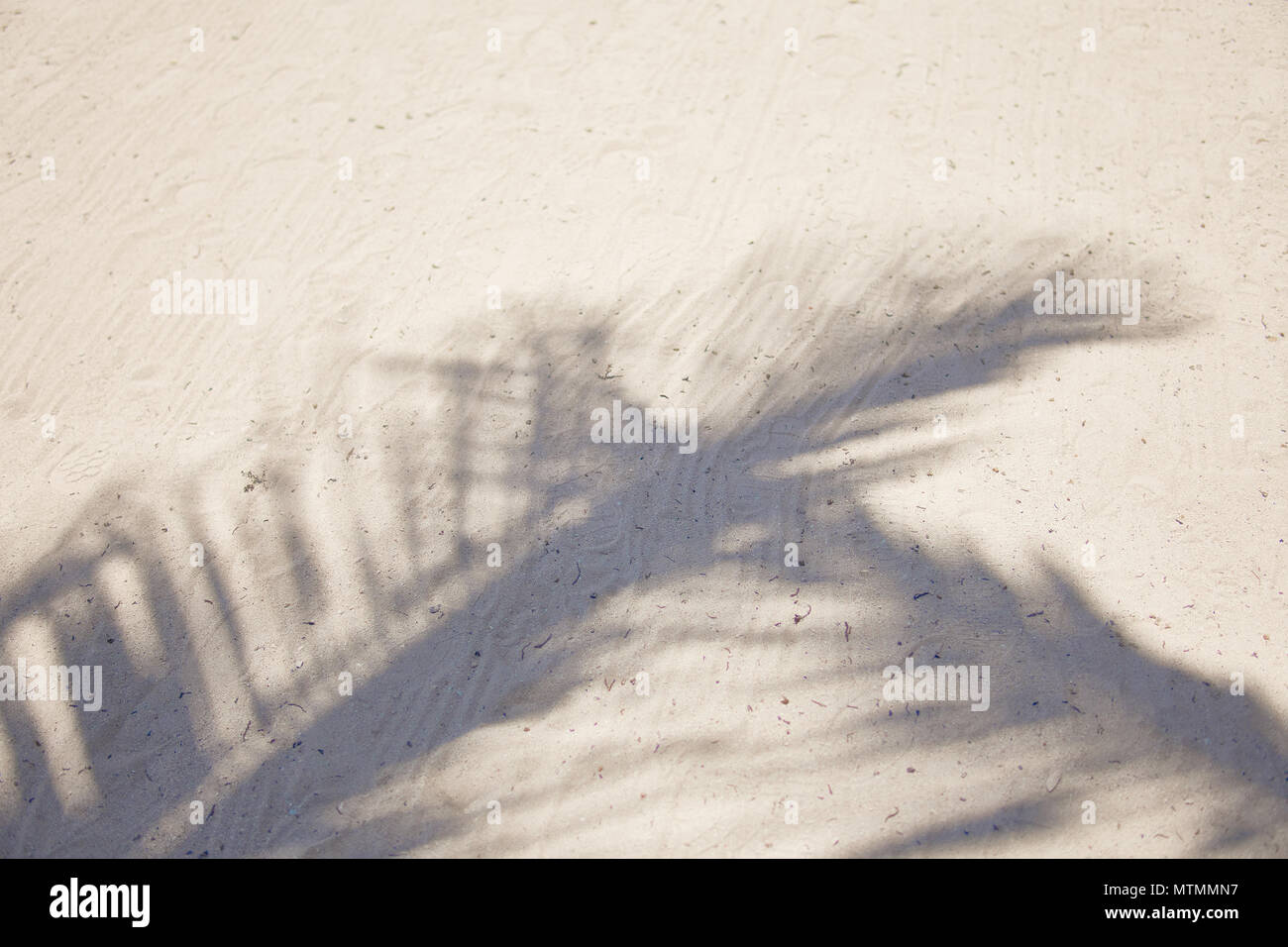 Shadows of palm tree fronds fluttering on textured sand beach ...