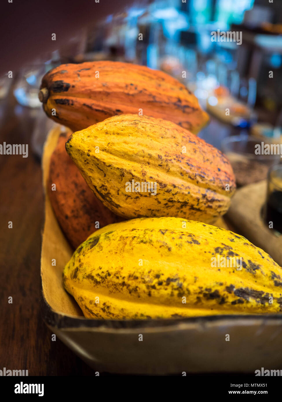 Harvested yellow and orange cocoa pods in the bar at Four Seasons on Peninsula Papagayo in the Guanacaste region of Costa Rica Stock Photo