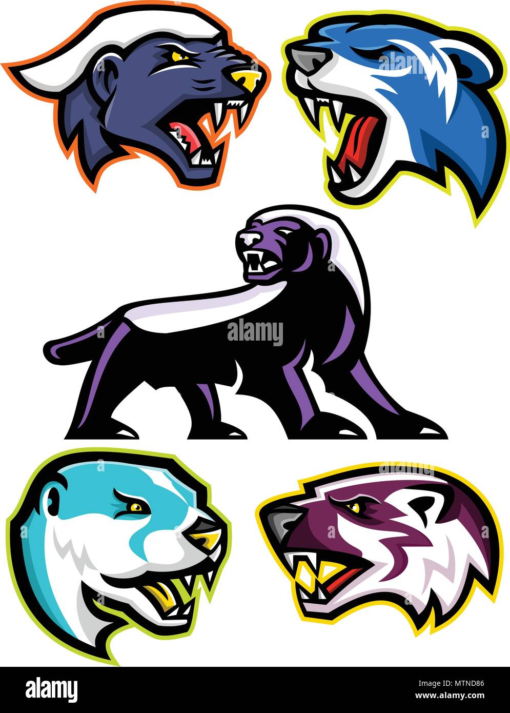 Mascot icon illustration set of fossorial carnivores like the honey badger or the ratel, polecat or weasel, the North American river otter or common o Stock Vector
