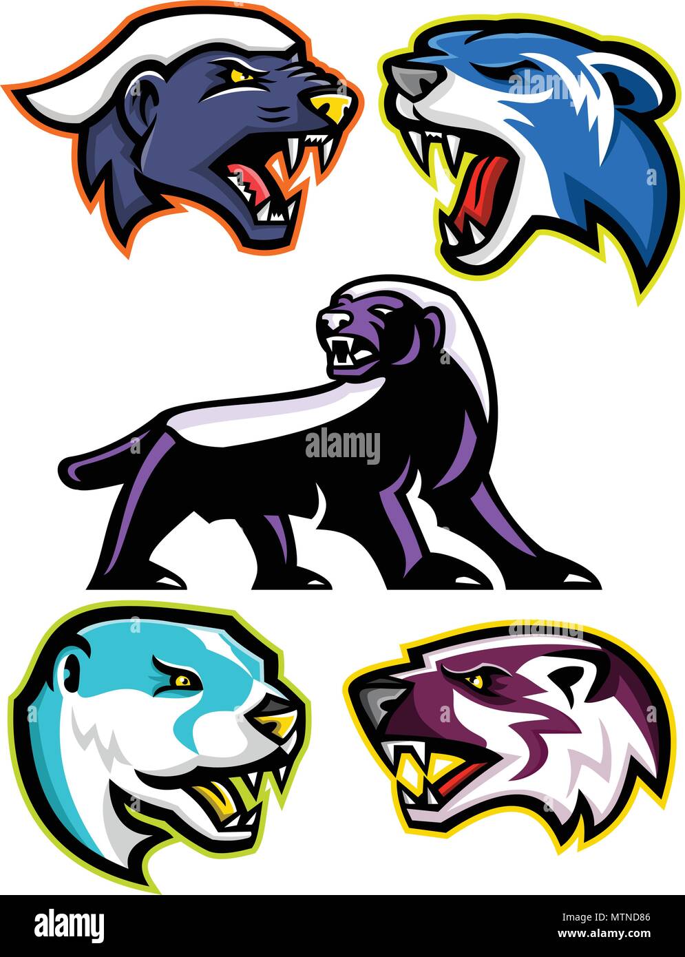 Mascot icon illustration set of fossorial carnivores like the honey ...