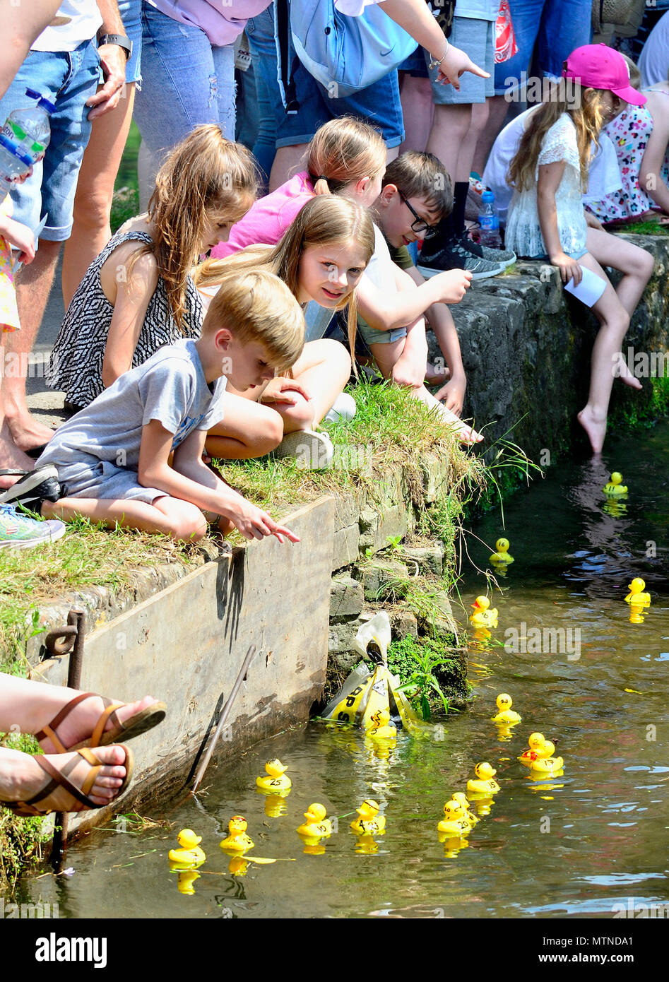May Bank Holiday Duck Race in Loose Village, Kent. Children watch the ducks pass on Loose Brooks at the annual event. Stock Photo