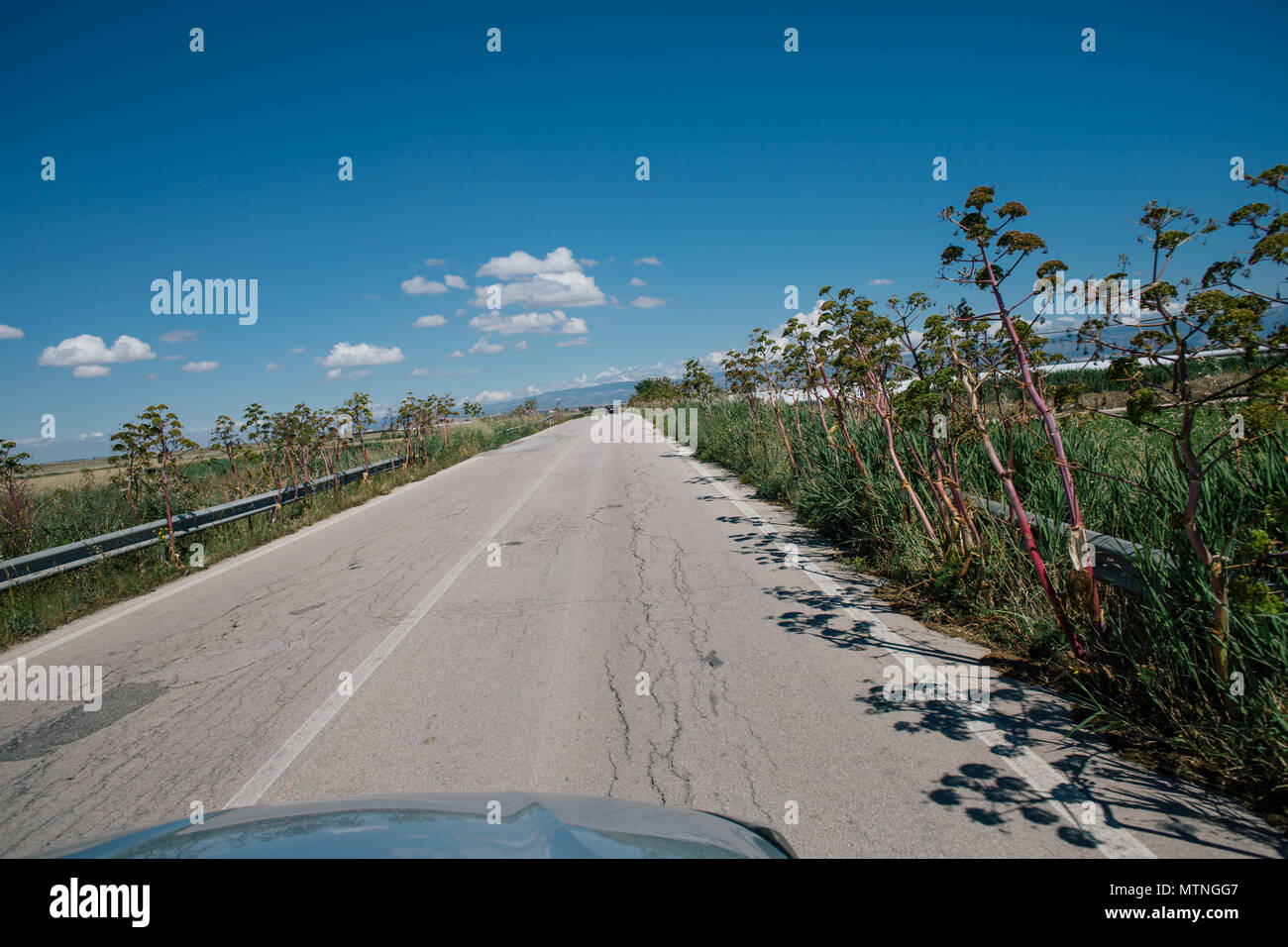Car drive in Italy summertime roads Stock Photo Alamy