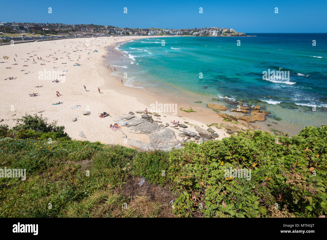 Backpackers bondi hi-res stock photography and images - Alamy