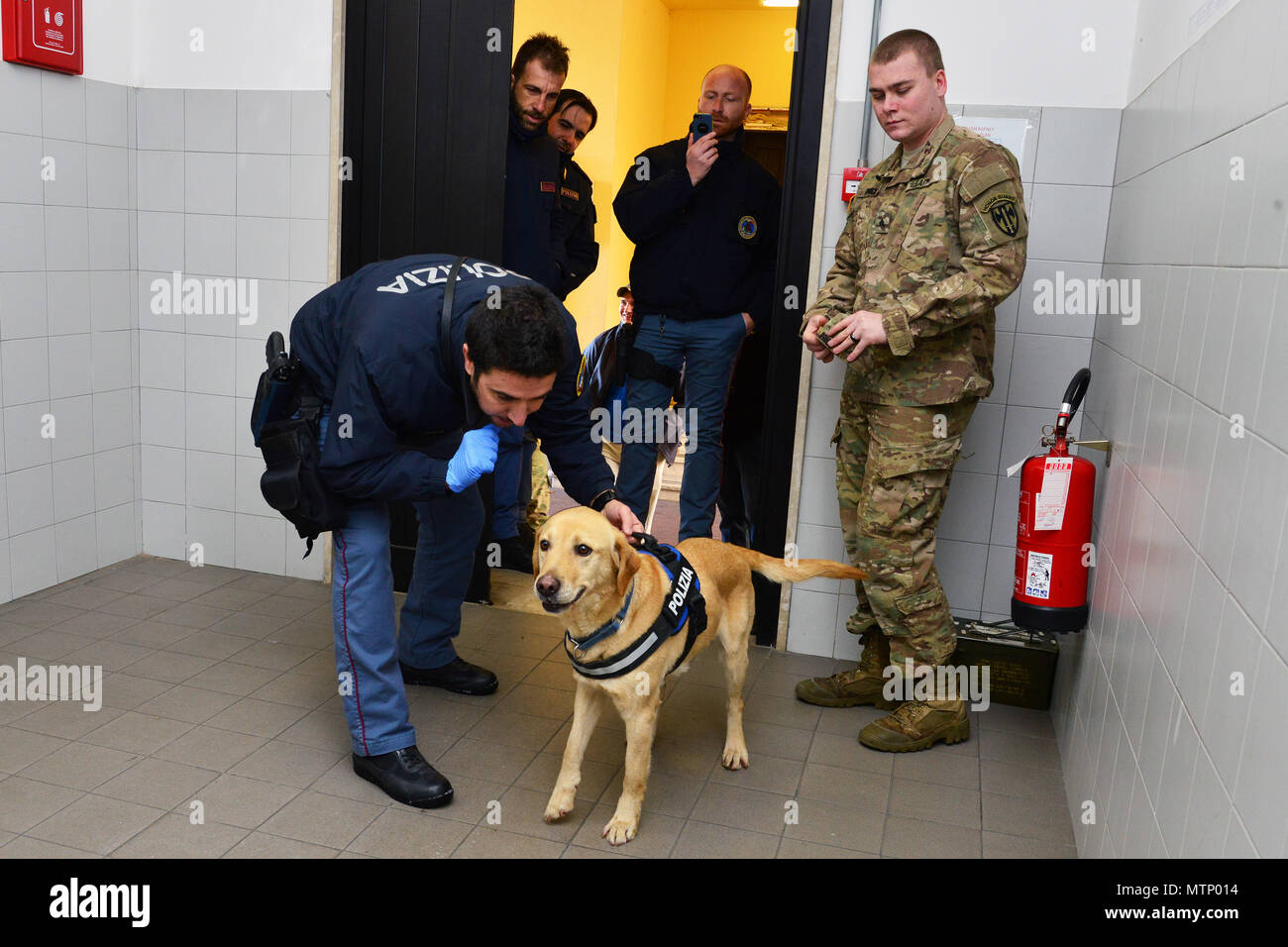 Italian military working dog Thunder and his handler Deputy Inspector Filippo Nicola, assigned to the Italian Police Squadra Cinofili K9 airport Venice, inspect areas that may have explosive residue at Caserma Ederle, Vicenza, Italy, Jan. 17, 2017. Military Working Dog teams are used in patrol, drug and explosive detection and specialized mission functions for the Department of Defense and other government agencies. The 525th Military Working Dog Detachment, joint training with Italian Police Squadra Cinofili K9 airport Venice and Questura di Padova and U.S. Air Force. (U.S. Army photo by Visu Stock Photo