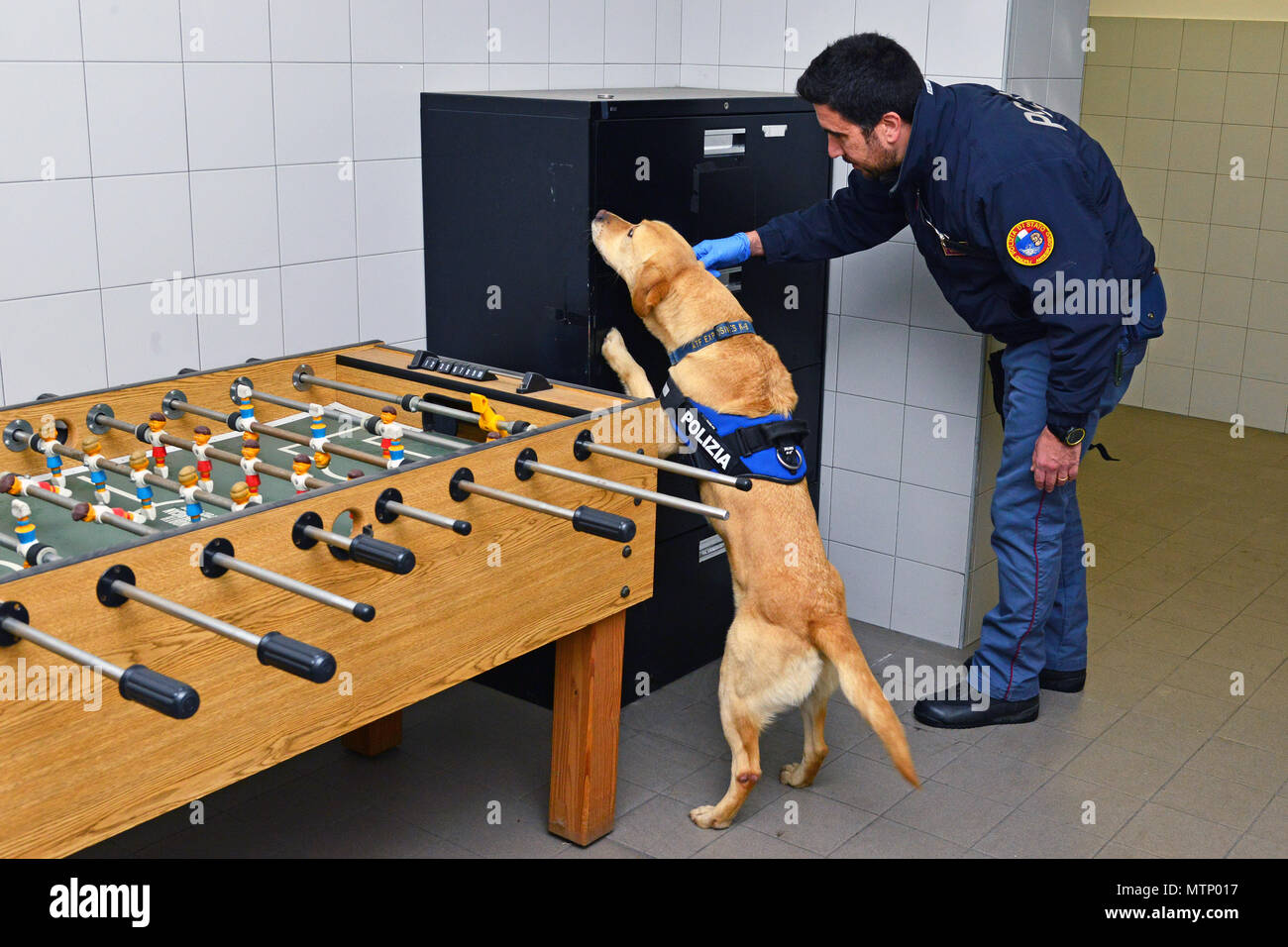 Italian military working dog Thunder and his handler Deputy Inspector Filippo Nicola, assigned to the Italian Police Squadra Cinofili K9 airport Venice, inspect areas that may have explosive residue at Caserma Ederle, Vicenza, Italy, Jan. 17, 2017. Military Working Dog teams are used in patrol, drug and explosive detection and specialized mission functions for the Department of Defense and other government agencies. The 525th Military Working Dog Detachment, joint training with Italian Police Squadra Cinofili K9 airport Venice and Questura di Padova and U.S. Air Force. (U.S. Army photo by Visu Stock Photo