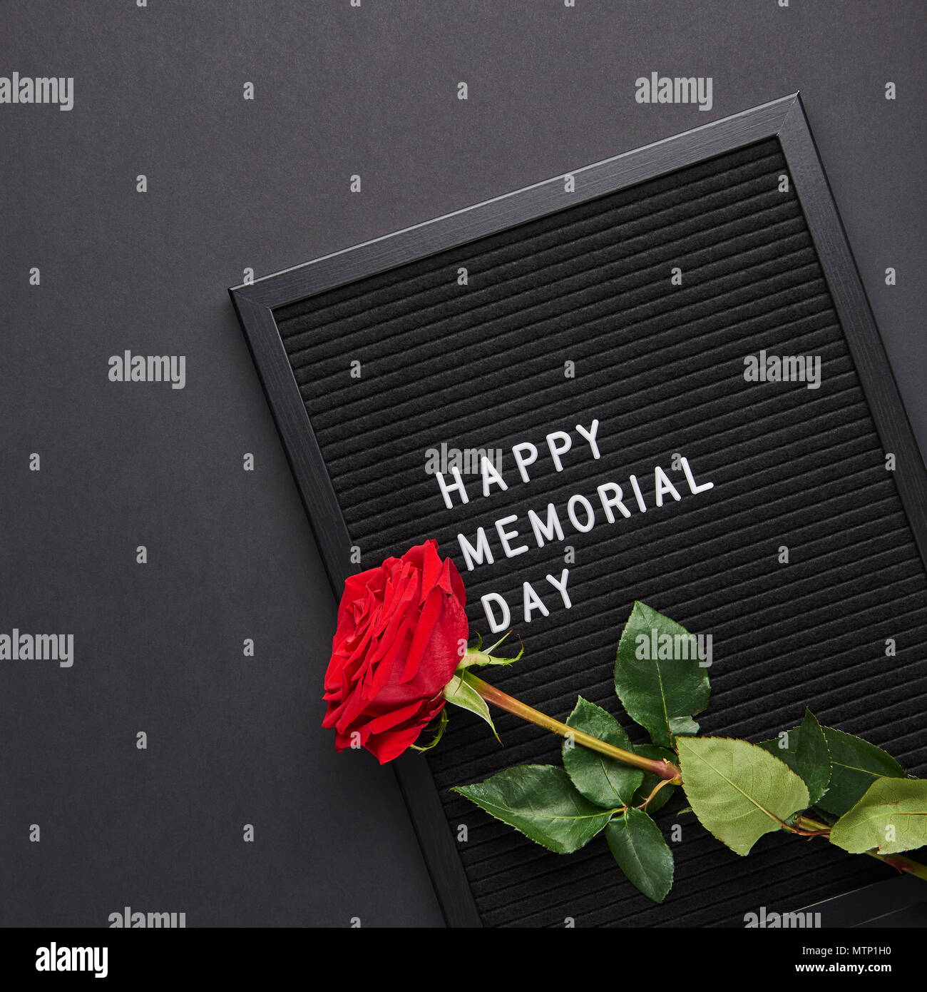 Black letterboard with white plastic letters with quote Happy Memorial Day, and rose on black background. Square crop. Stock Photo