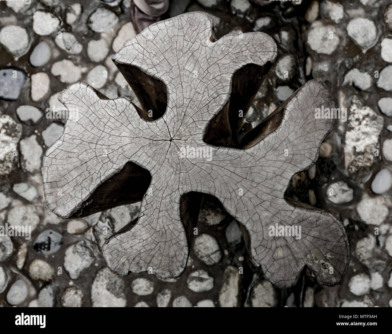 Chair made from Amazon Rainforest wood in Ecuador Stock Photo Alamy