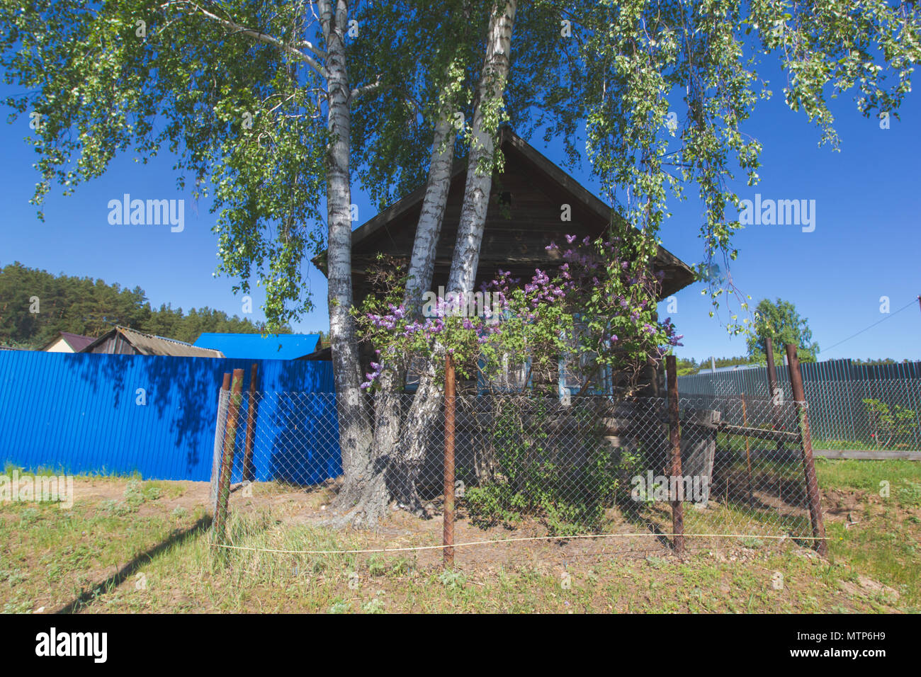 Old wooden house in summer Russian village Stock Photo - Alamy
