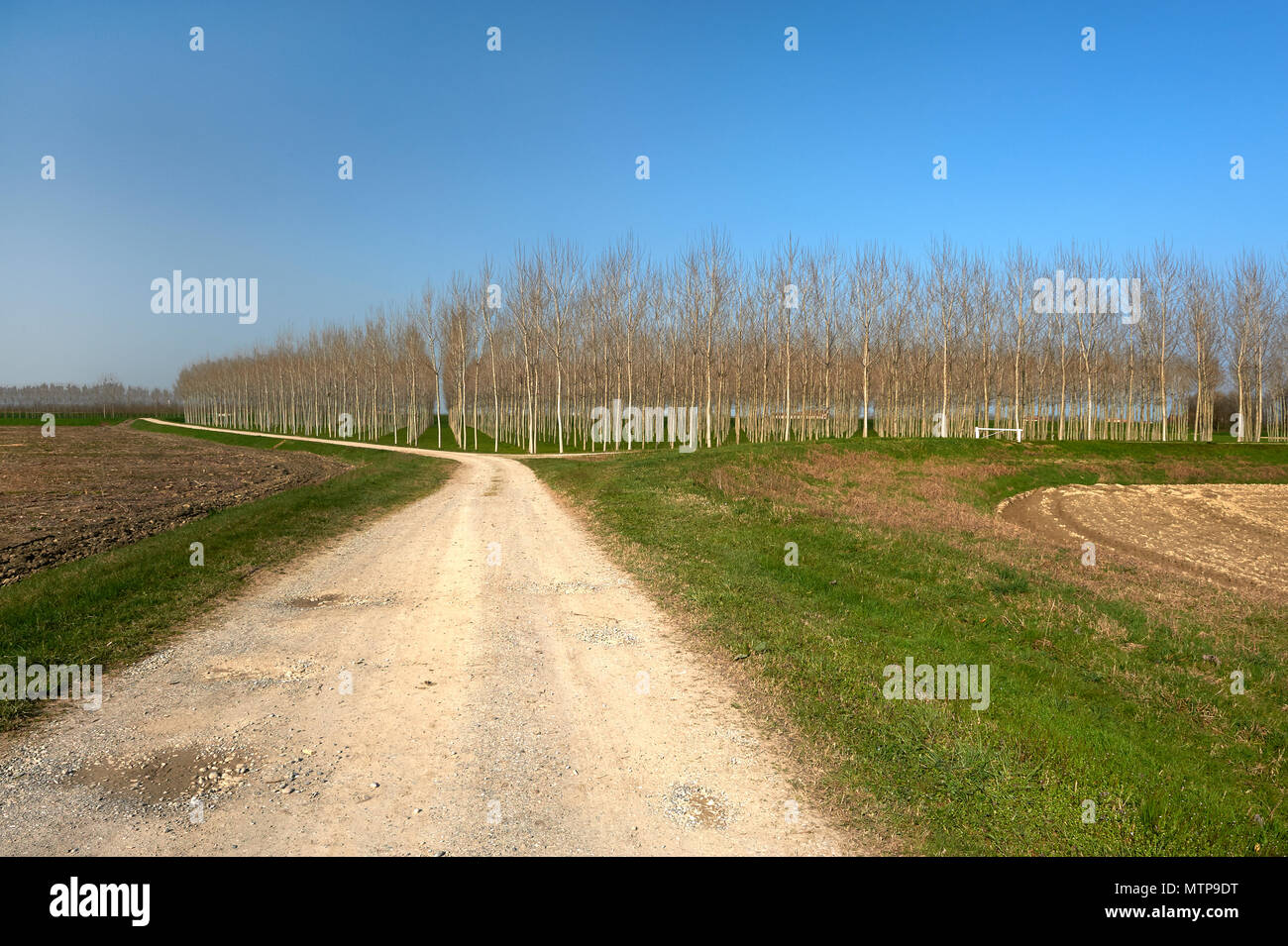 Torricella del pizzo hires stock photography and images Alamy