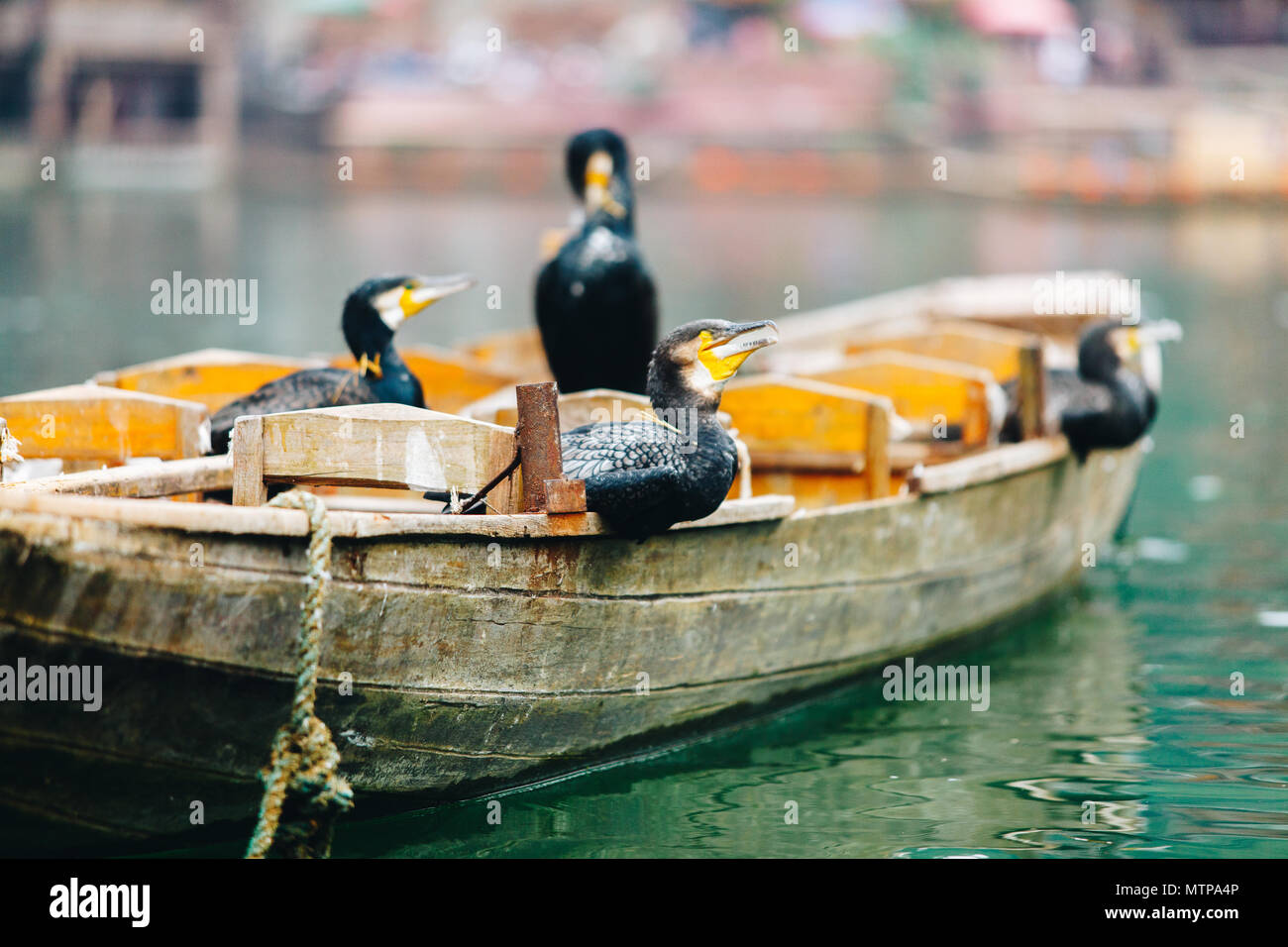 Fenghuang Ancient City Hunan, City program tour zhangjiajie Stock Photo