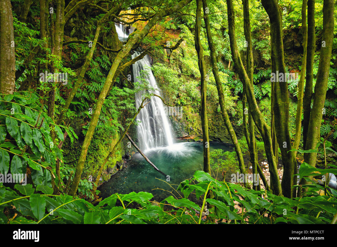 Salto do Prego waterfall lost in the rainforest, Sao Miguel Island, Azores, Portugal Stock Photo