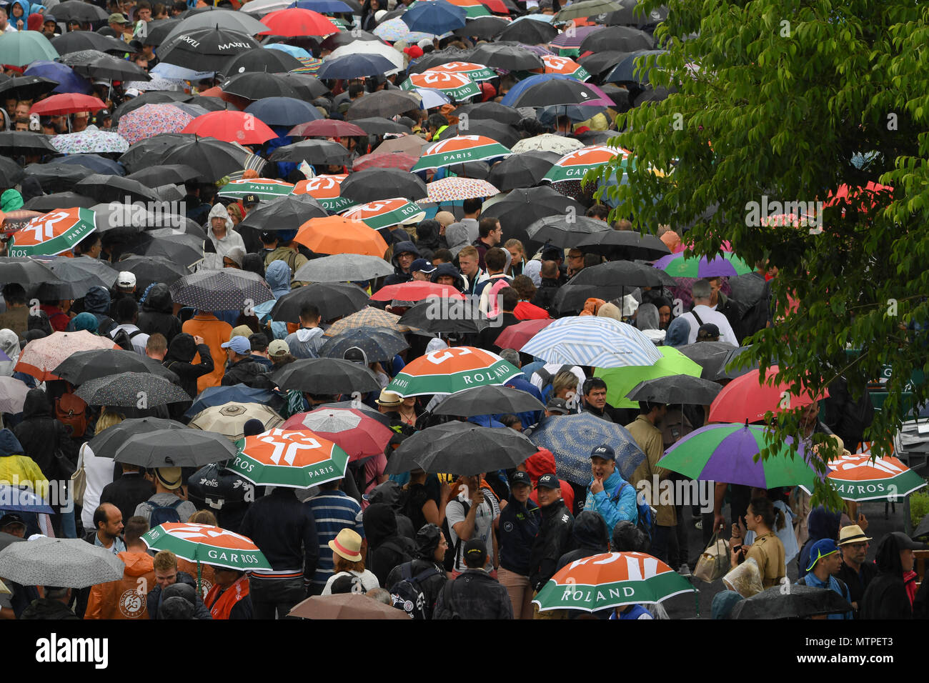 French Open 2018, Roland Garros, rain, umbrella, umbrellas Stock Photo ...
