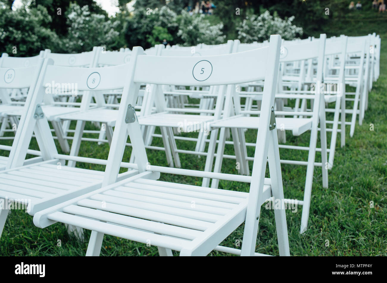 Wedding chairs in a park Stock Photo