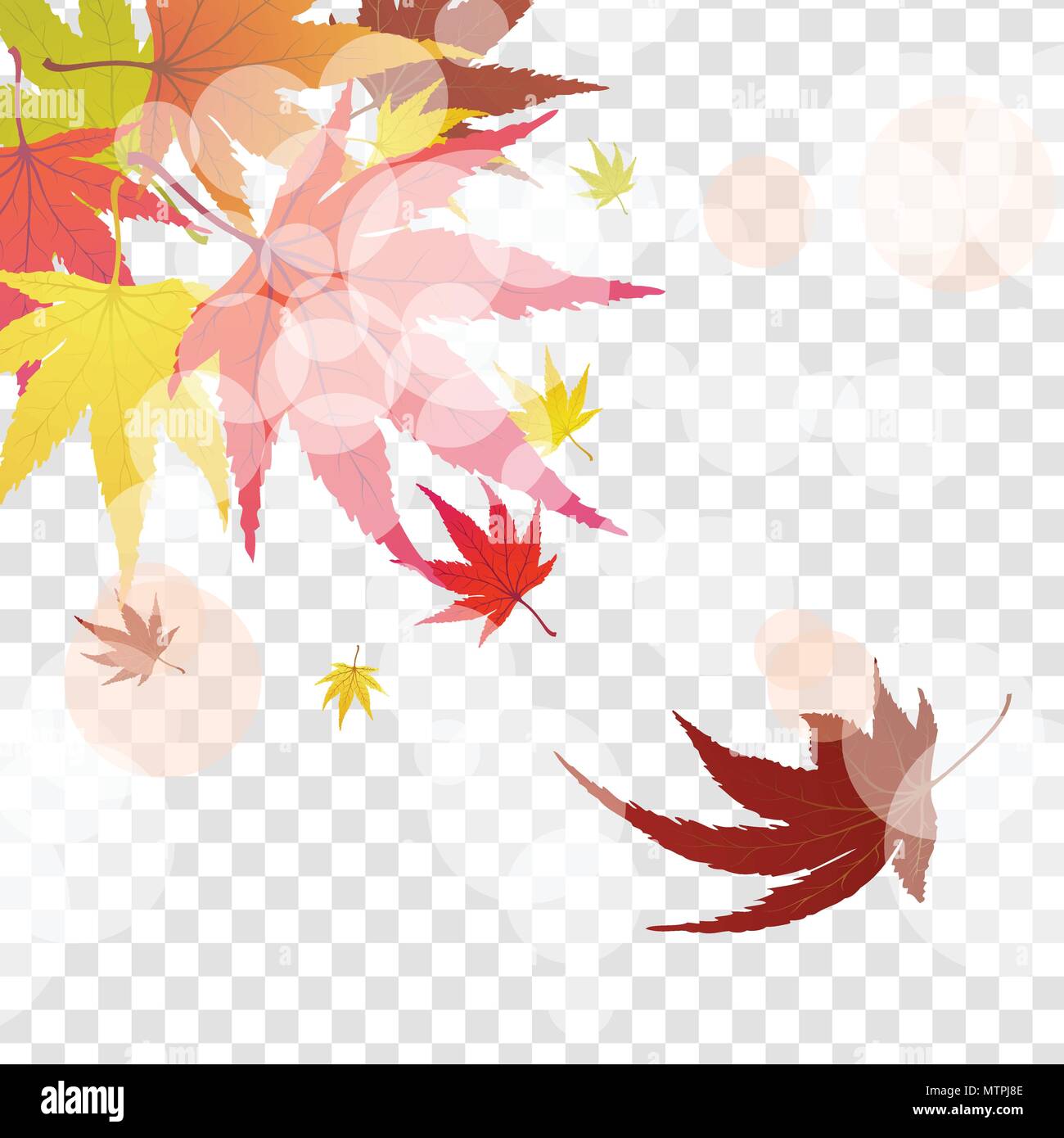 Autumn maple leaves background. Vector illustration with transparency ...