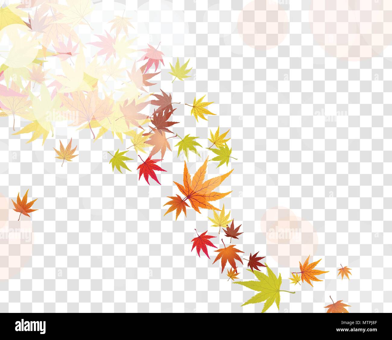 Autumn maple leaves background. Vector illustration with transparency ...