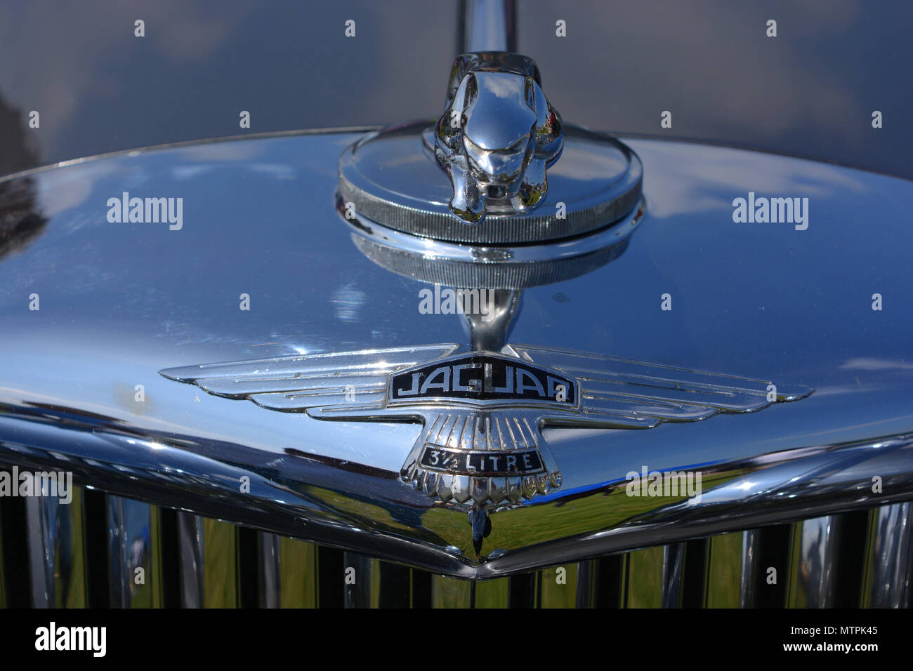 Vintage Jaguar car grille and emblem, Jaguar 3 ½ Litre Stock Photo Alamy