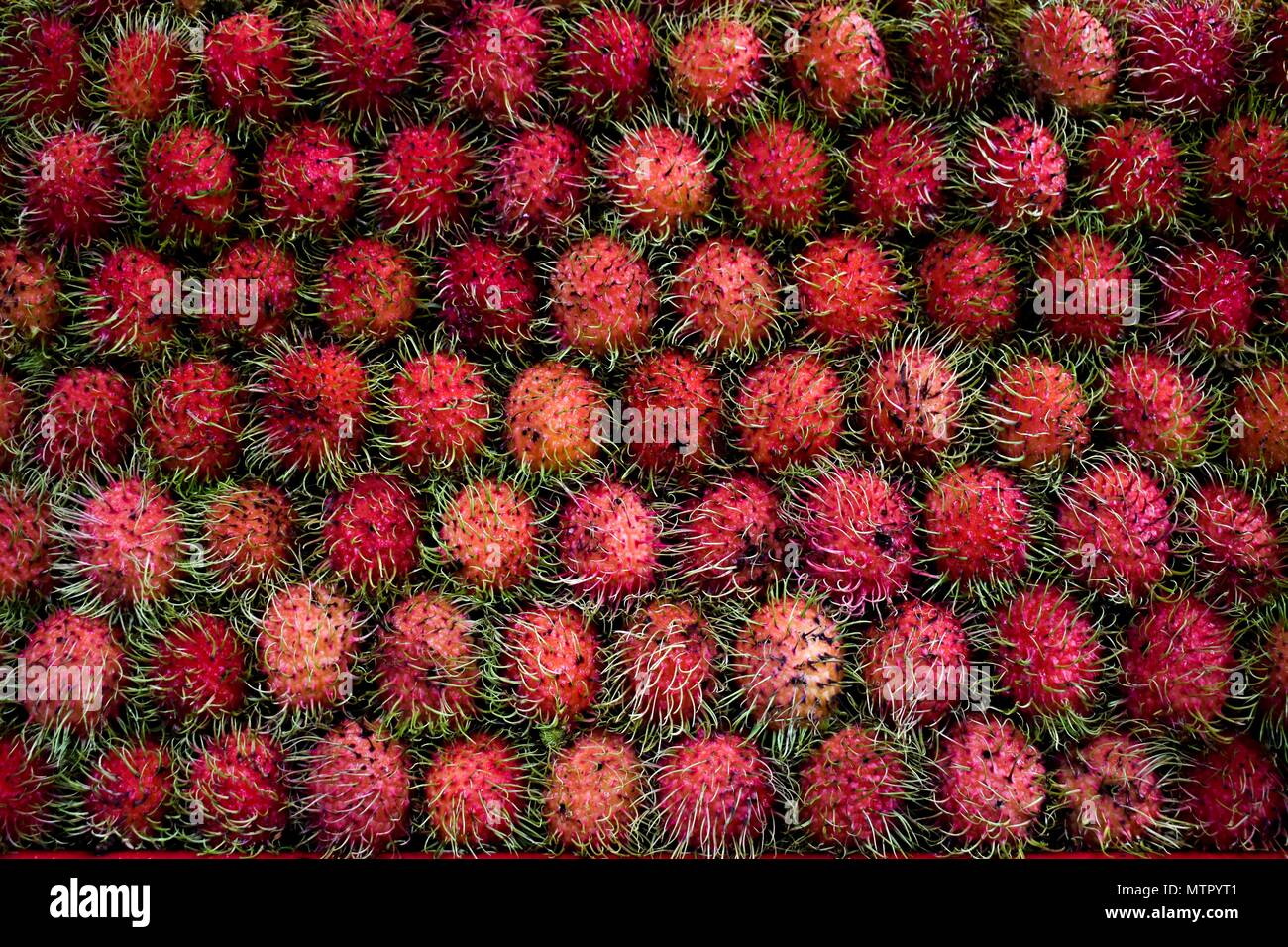 A pile of fresh rambutans on sale at a market in Thailand Stock Photo
