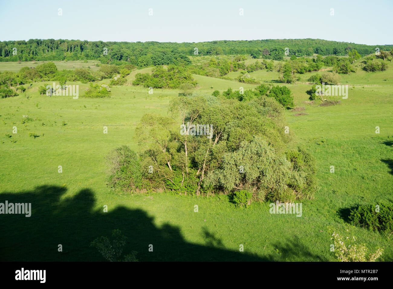 Forests and natural meadows in Viscri Transilvania Romania Stock Photo