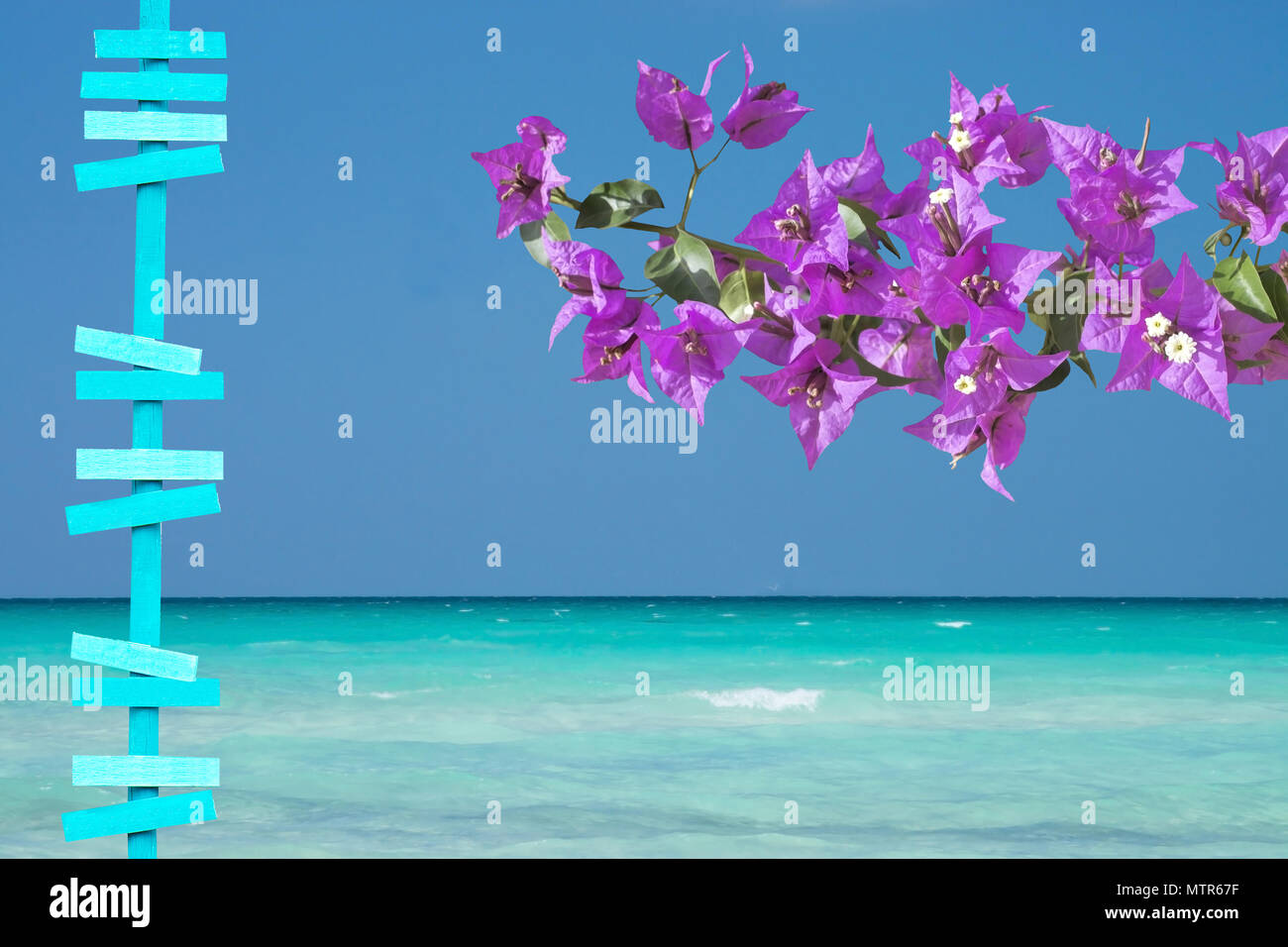 Beautiful ocean landscape with sea sky and horizon and pink bougainvillea turquoise wooden signpost decor background Stock Photo