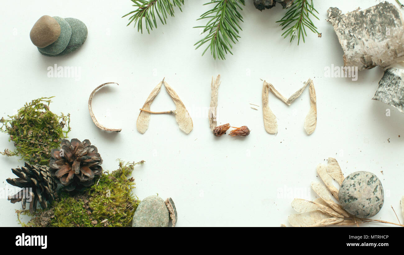 mindfulness calmness unplug concept, word calm from forest natural material Stock Photo