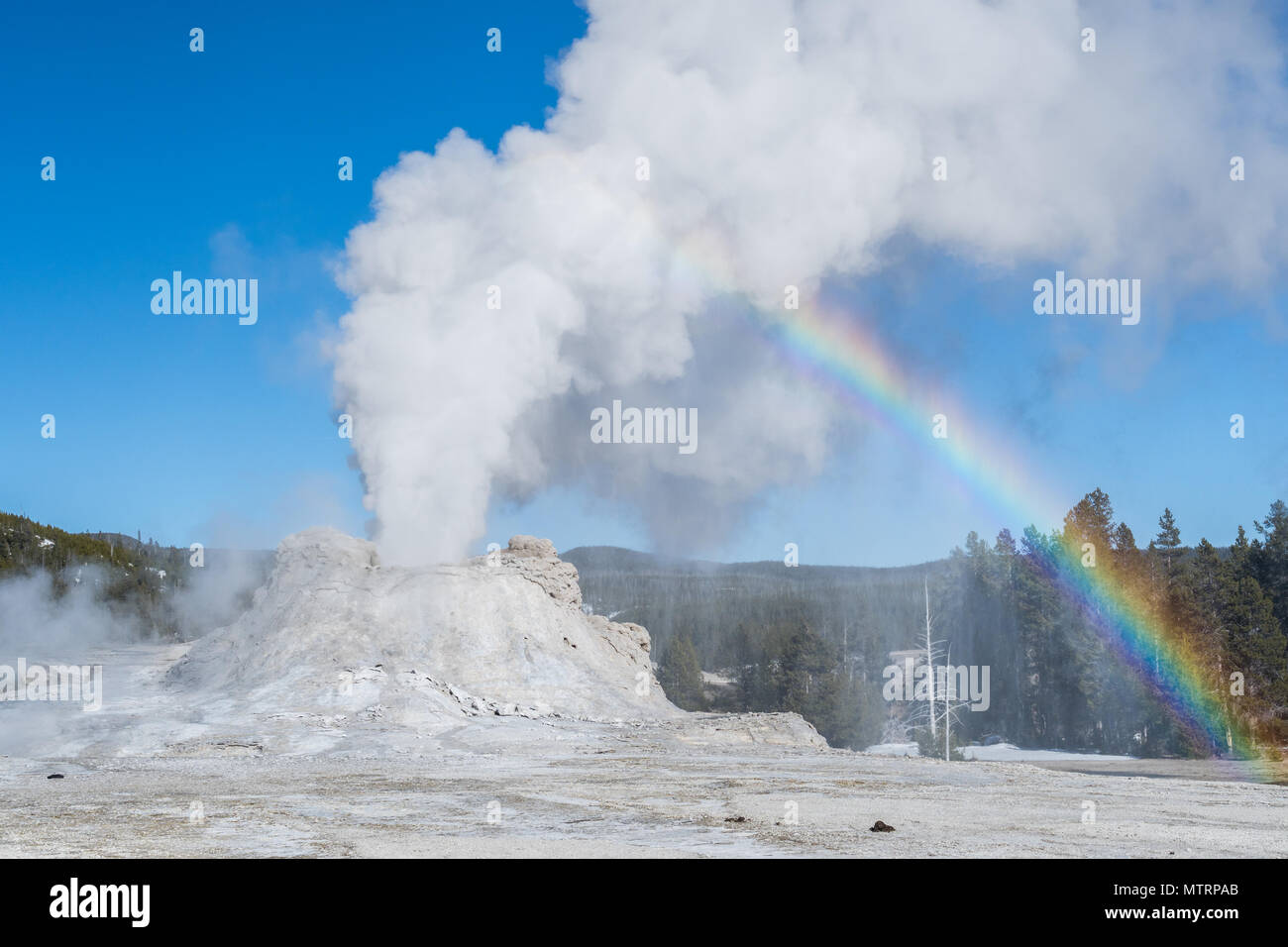 Castle Geyser erupting with a rainbow in Yellowstone National Park Stock Photo