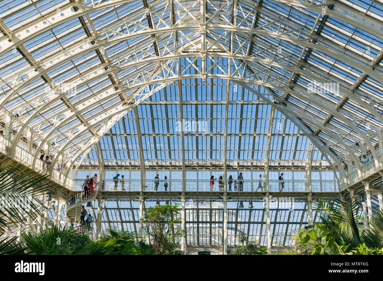 Interior View of the newly renovated Temperate House at the Royal Botanic Gardens Kew, Richmond Upon Thames, London, United Kingdom. Stock Photo