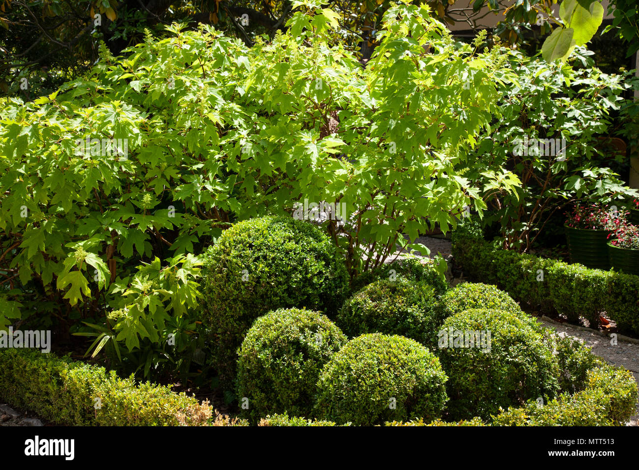 Ornamental gardens in Villa Datris, Provence, France Stock Photo