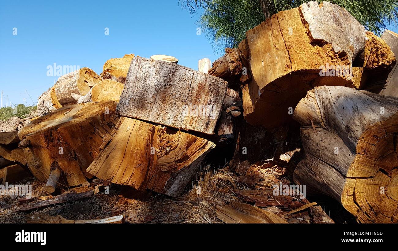 Firewood chopped pile birch hi-res stock photography and images - Alamy