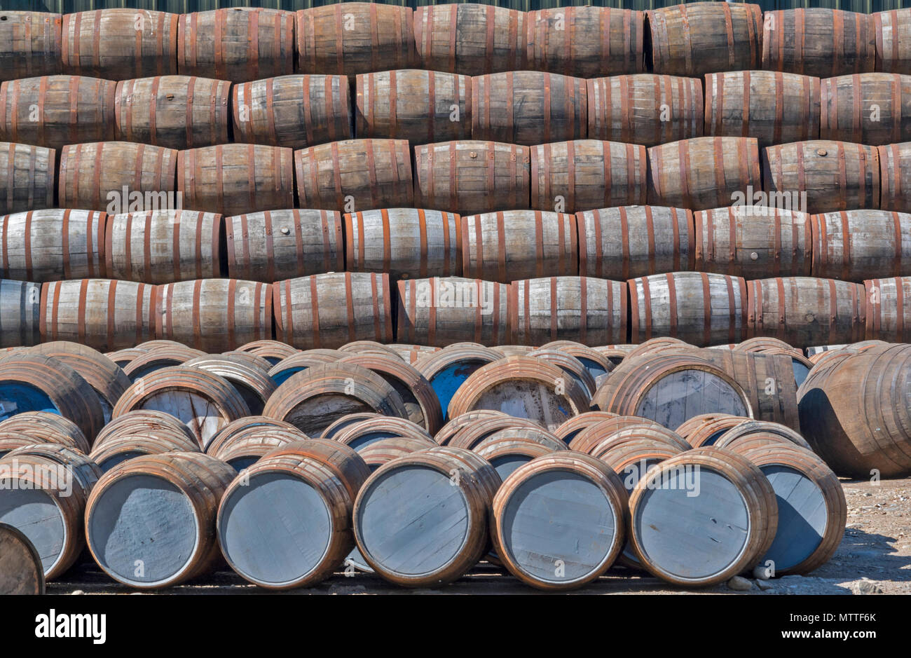 MALT WHISKY BARRELS OR CASKS STACKED ROW UPON ROW AT TAMDHU CLOSE TO THE RIVER SPEY  SPEYSIDE SCOTLAND Stock Photo