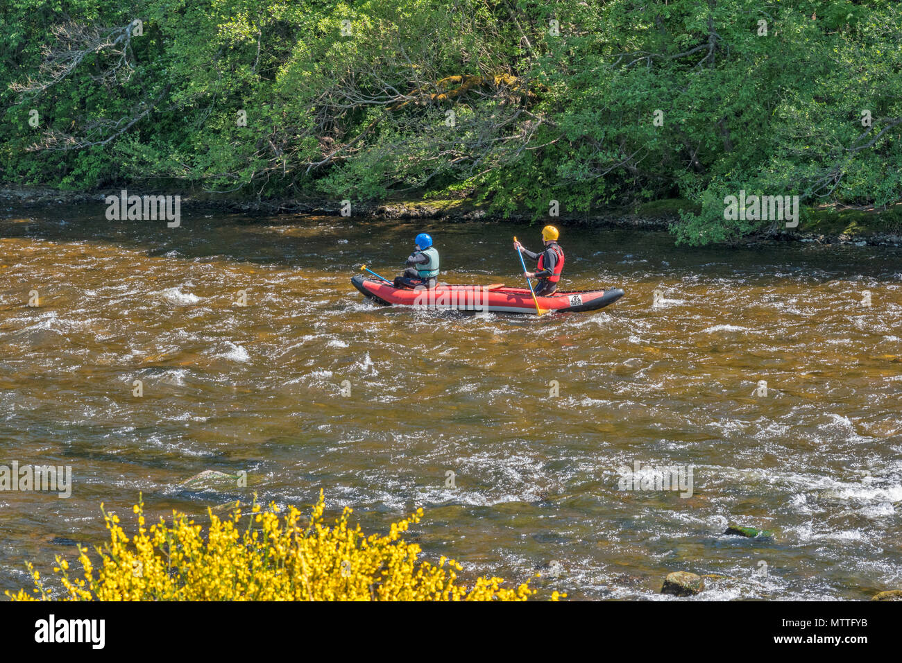 RIVER SPEY SPEYSIDE SCOTLAND CANOE CANOEIST SPRINGTIME ON THE SPEY AND A RED AND BLUE INFLATABLE CANOE OR KAYAK Stock Photo