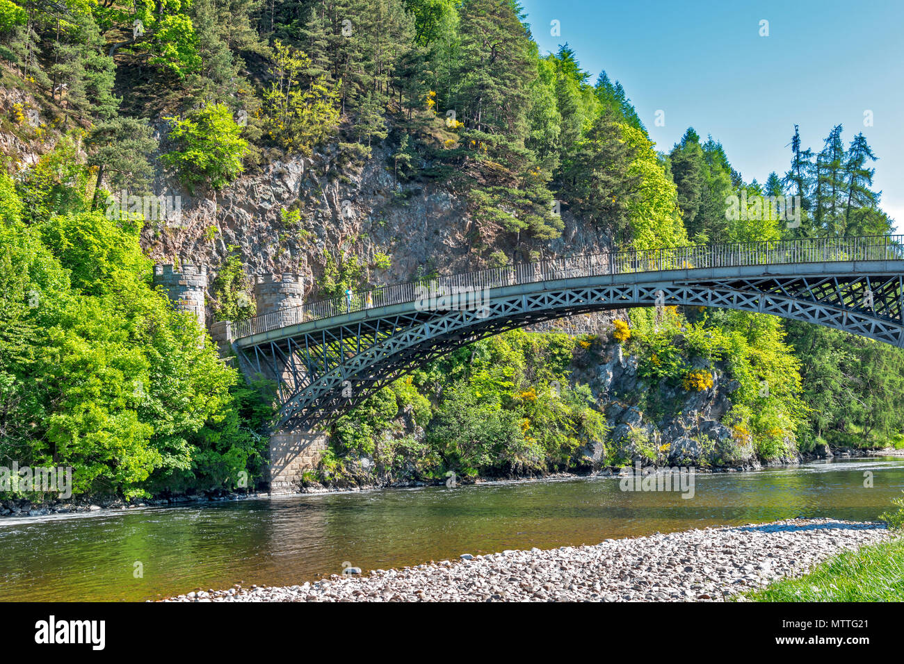 THOMAS TELFORD BRIDGE AT CRAIGELLACHIE SCOTLAND PEOPLE CROSSING THE BRIDGE OVER THE RIVER SPEY SURROUNDED BY TREES AND FLOWERS IN SPRING Stock Photo