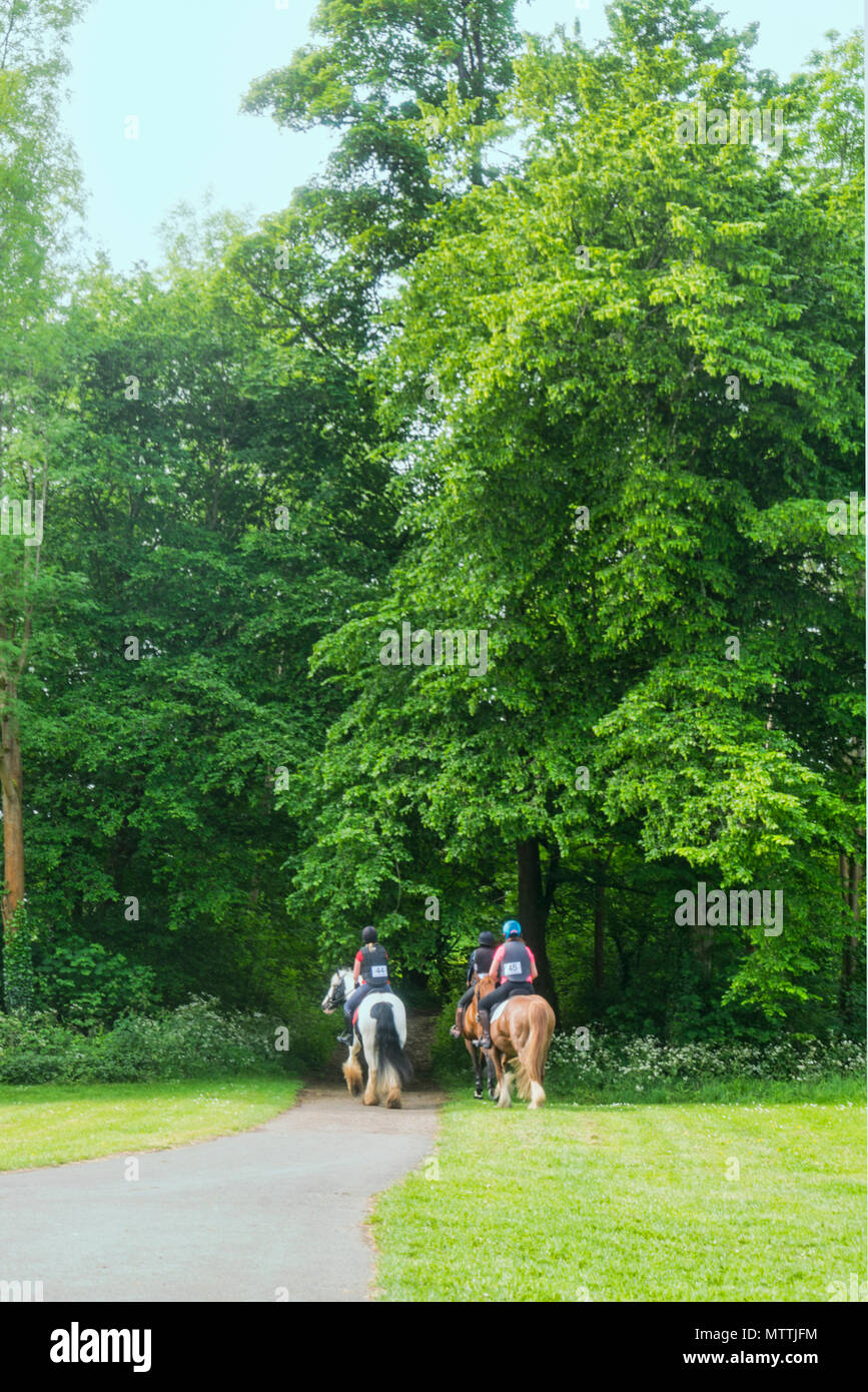 Cirencester; park, trees, horse riding, Gloucestershire; UK; England