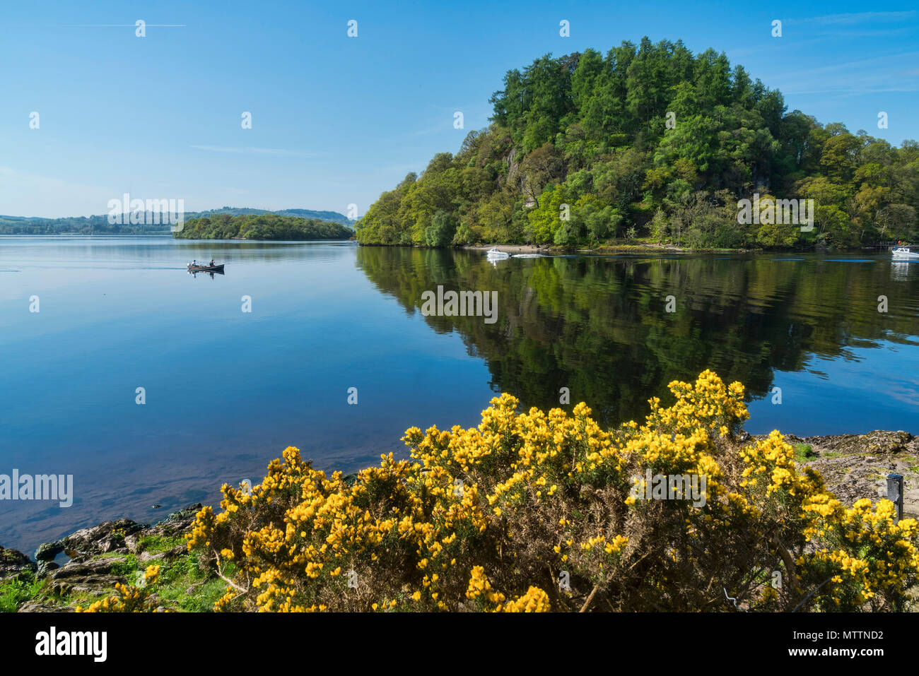 Loch lomond at Balmaha, looking to inchcailloch island, Stirlingshire, Scotland, UK Stock Photo