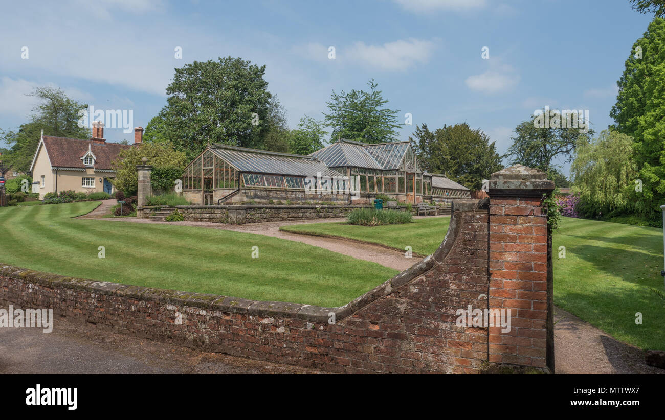 Weston under lizard hires stock photography and images Alamy