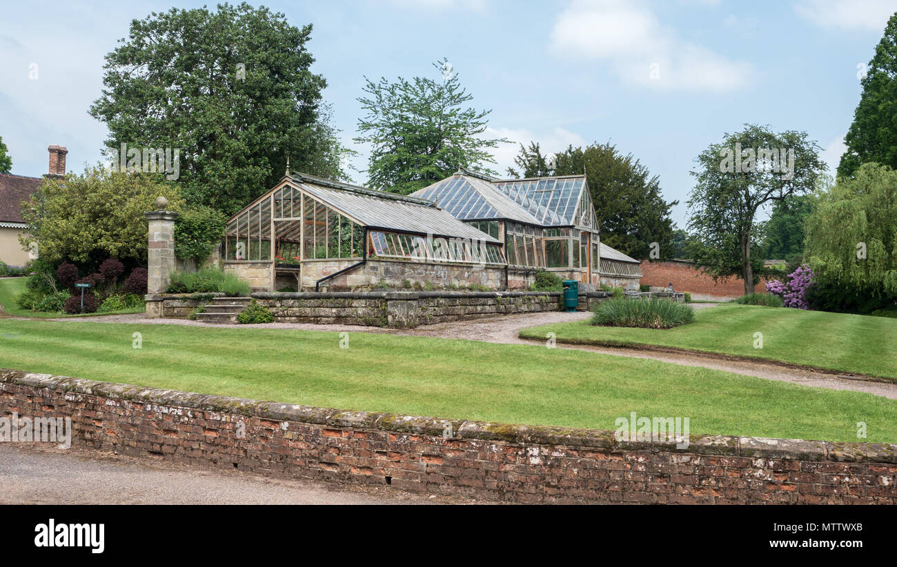 Weston under lizard hires stock photography and images Alamy