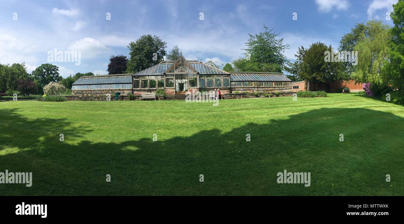 Weston under lizard hires stock photography and images Alamy