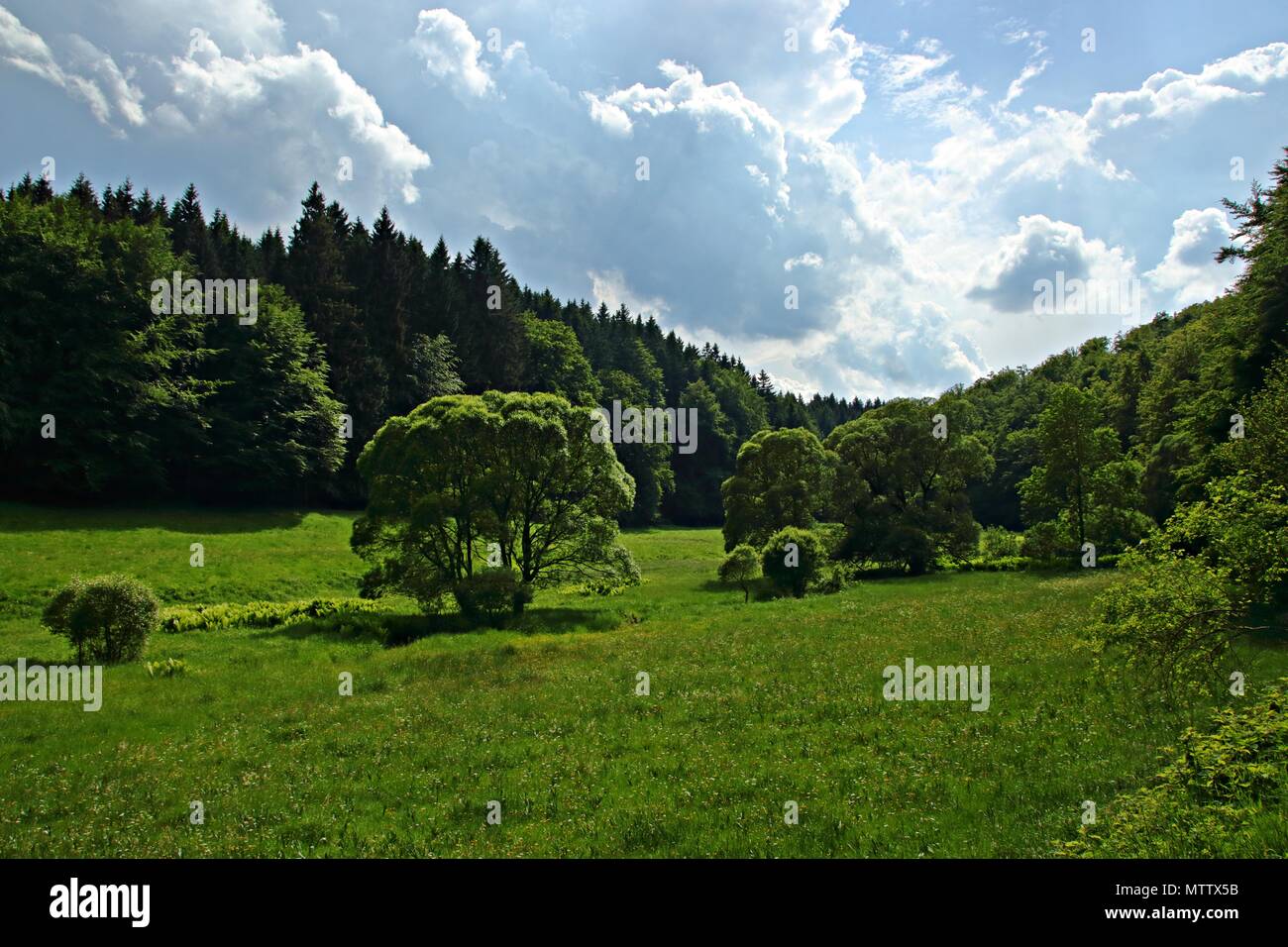 spitter ground in the thuringian forest near Tambach-Dietharz Stock Photo