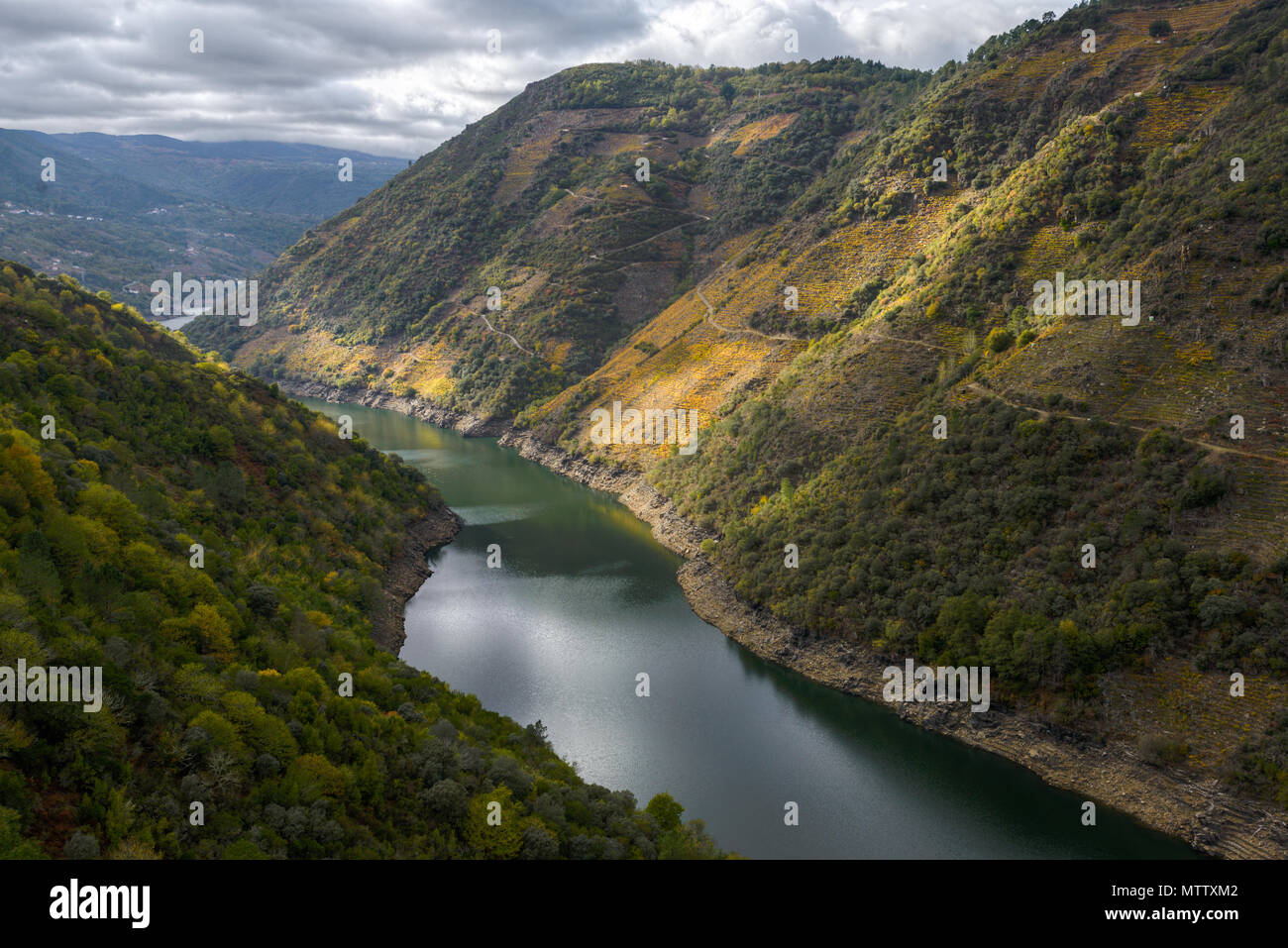 The sun of an autumn afternoon gilds the slopes of the Sil Canyon, in the Ribeira Sacra, Galicia Stock Photo