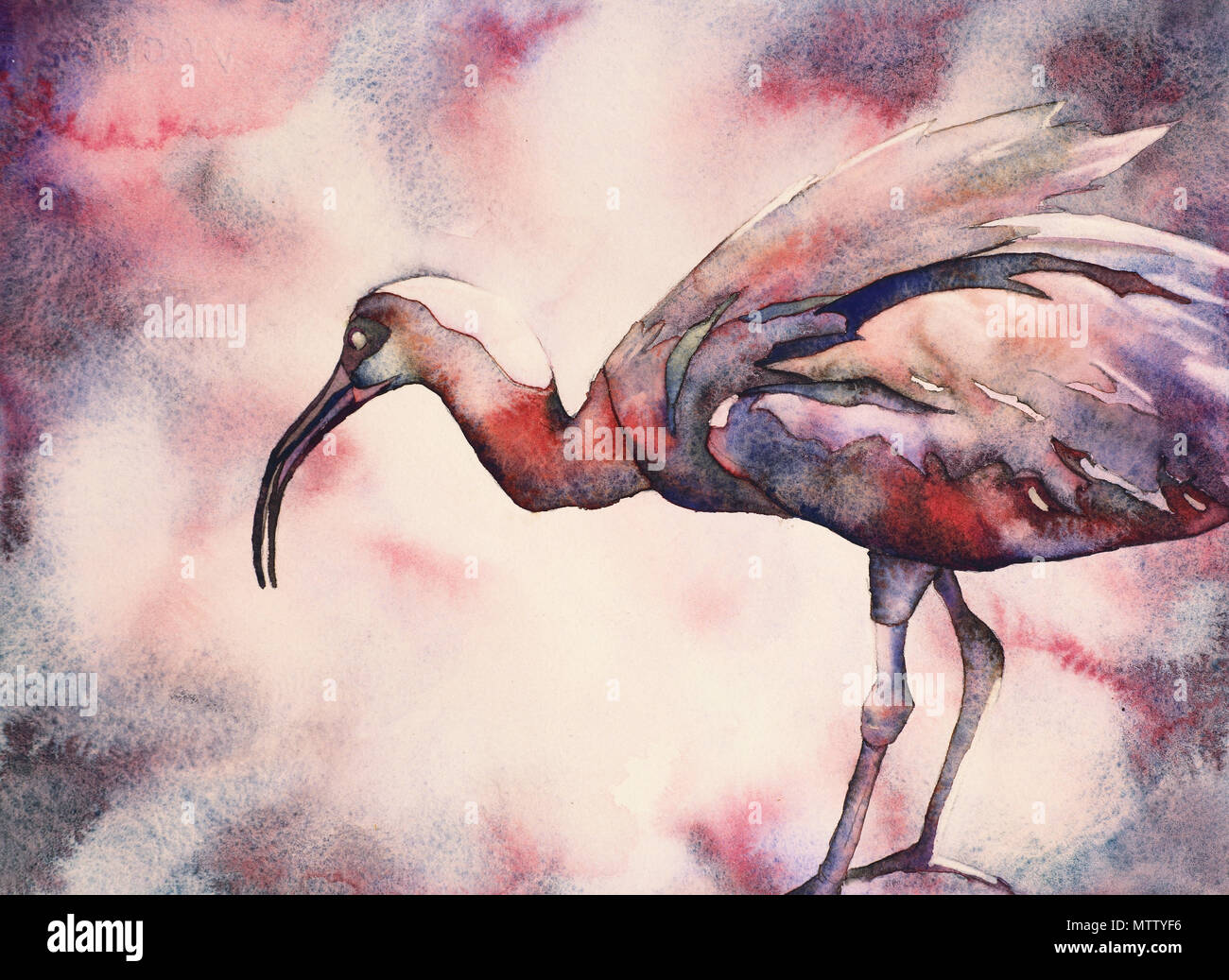 Watercolor painting of crane at bird park.  Bird art.  Crane painting. Stock Photo