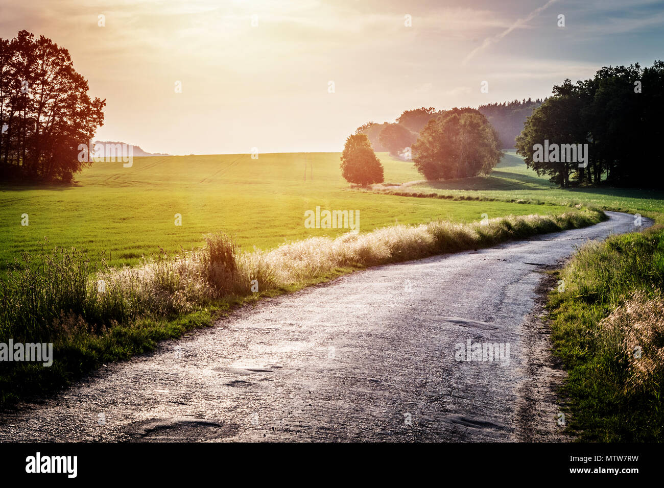 Green field and road in summer sunset Stock Photo - Alamy