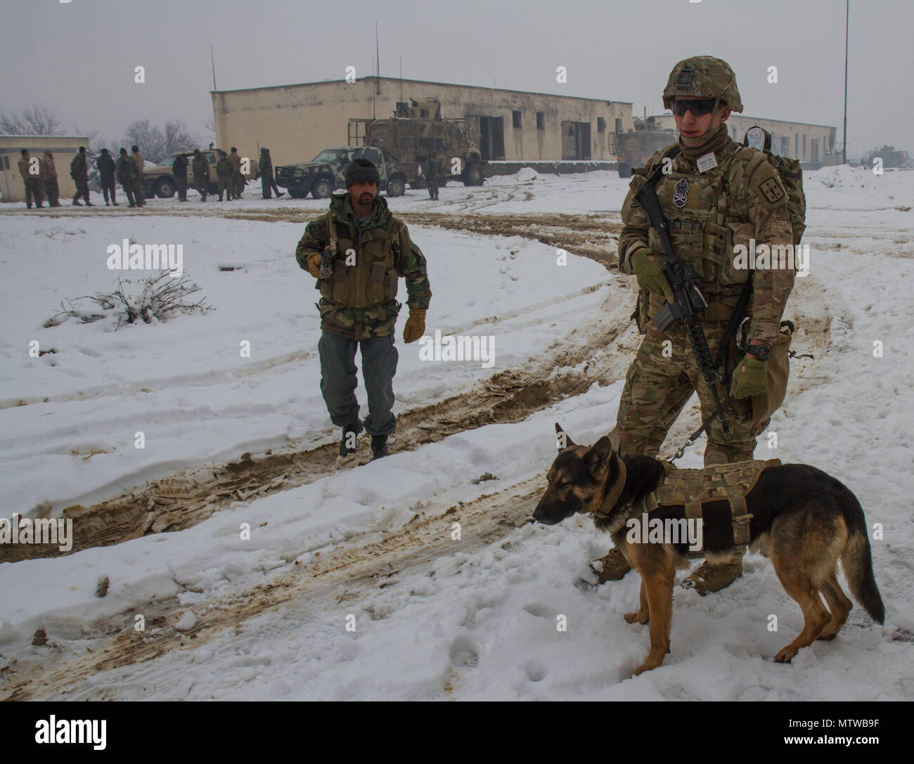 A Patrol Explosive Detector Dog handler and K9 partner secure a ...
