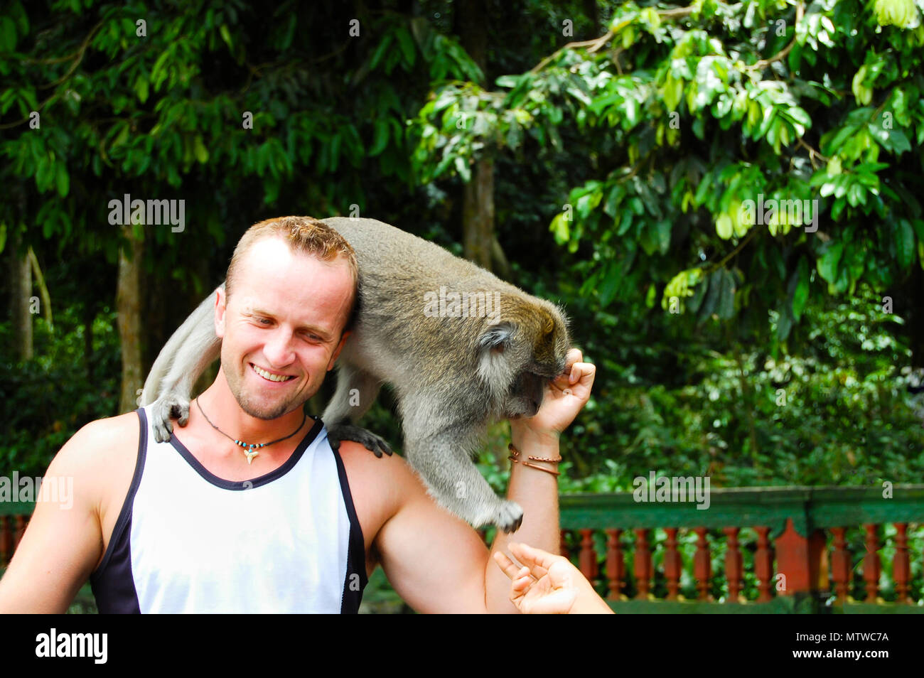 Tourist in Ubud Monkey Forest - Bali - Indonesia Stock Photo