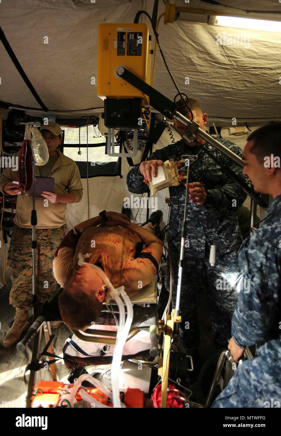 Navy corpsmen X-ray a notional casualty wearing a Cut Suit as part of Naval Medical Augmentation Program training at Camp Lejeune, N.C., Jan. 26, 2017. The purpose of NMAP training is for corpsmen from different units to learn to work cohesively and be able to perform in an austere environment. The Sailors are with 2nd Medical Battalion. (U.S. Marine Corps photo by Cpl. Ashley Lawson) Stock Photo